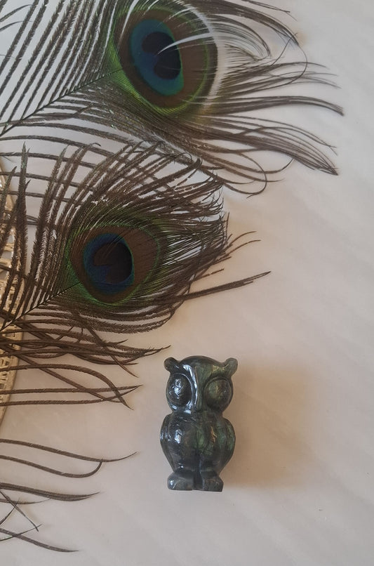 Labrodorite  Owl