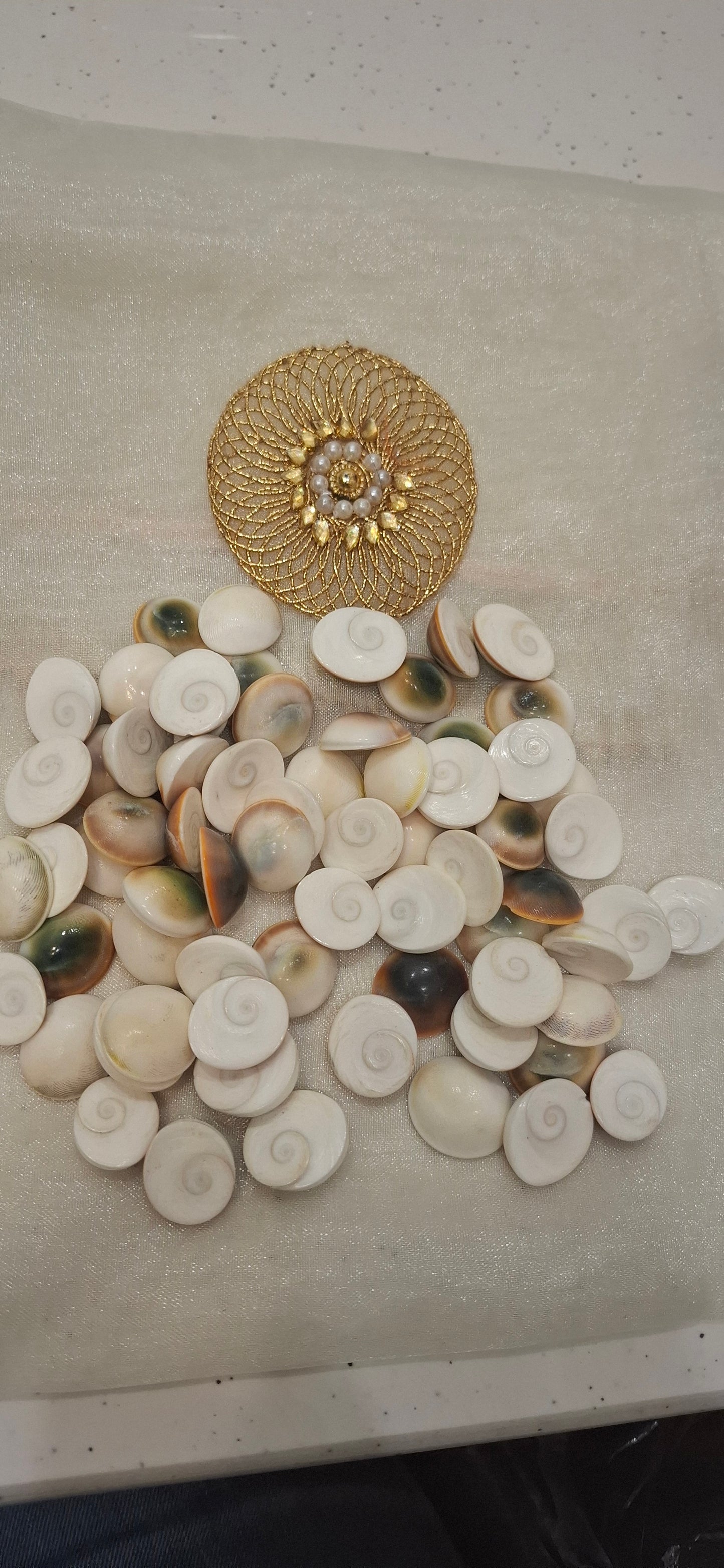 Gomati Chakra 💯original