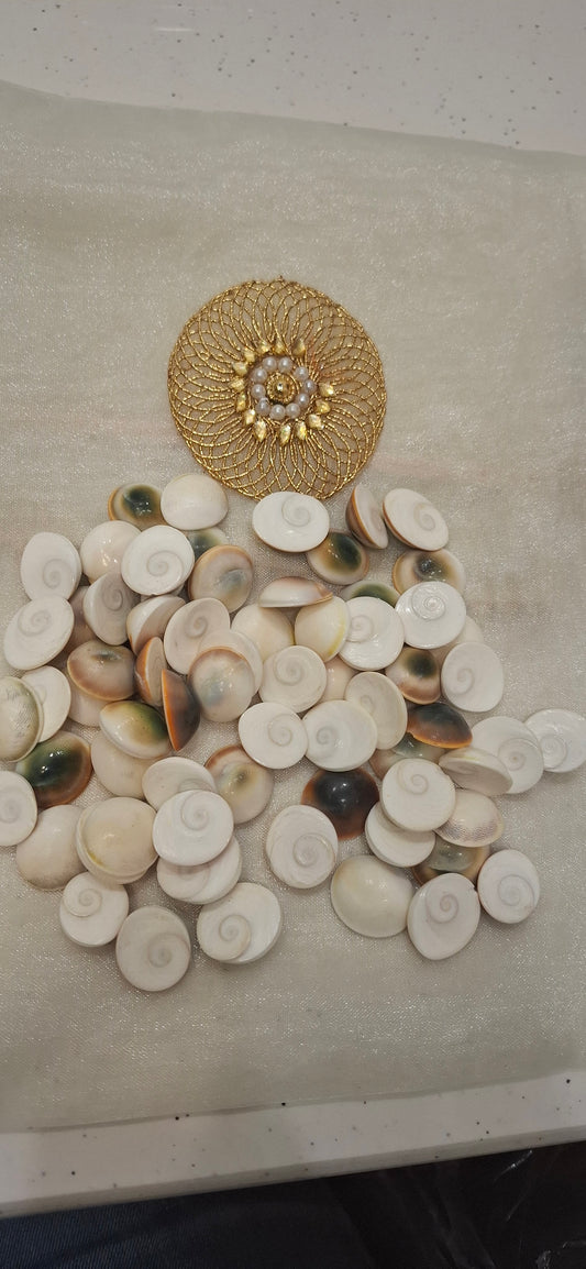 Gomati Chakra 💯original