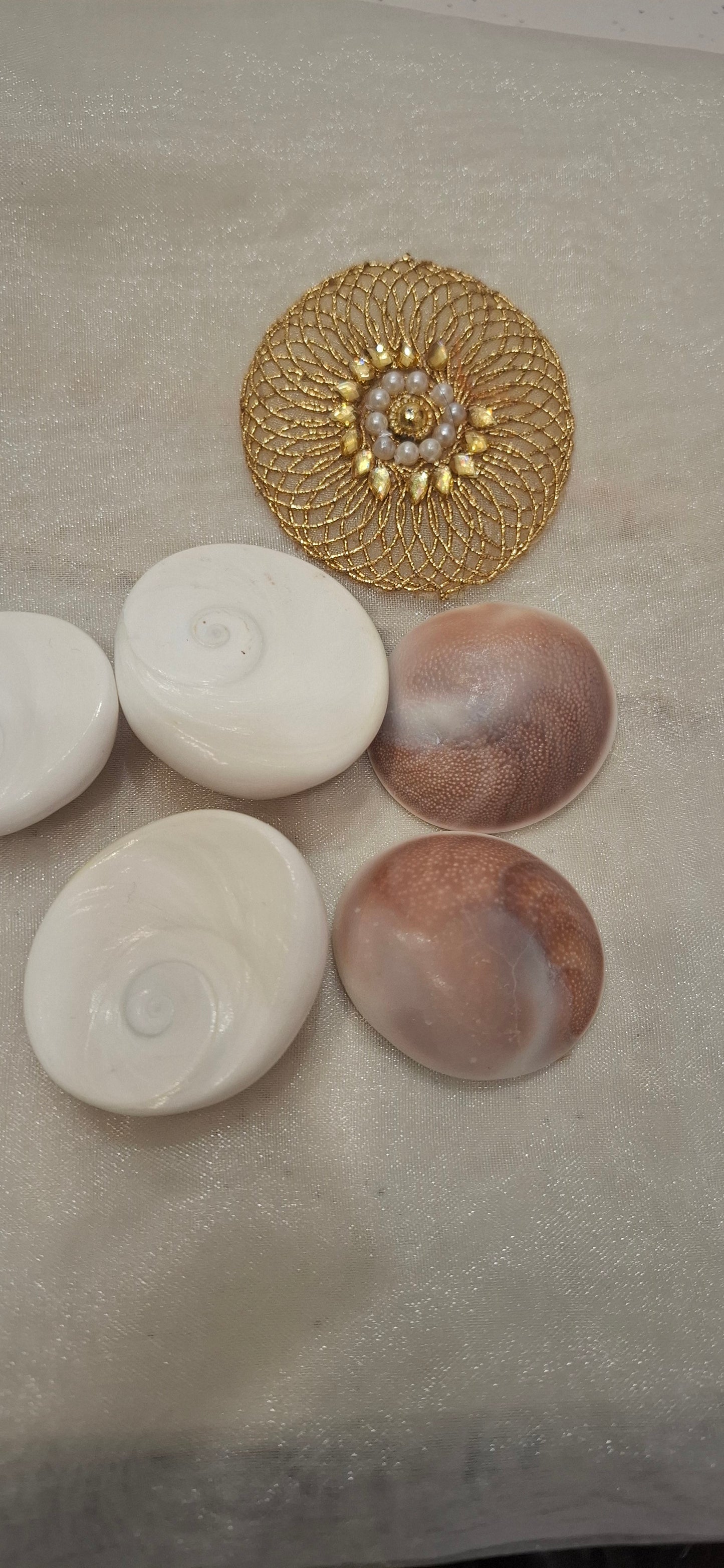 Gomati Chakra 💯original