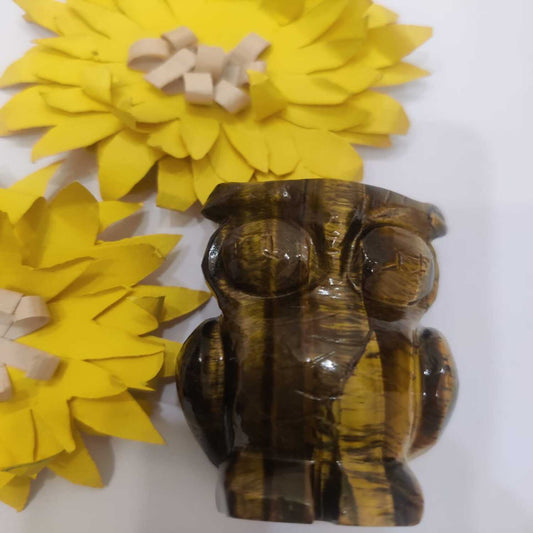 Tiger Eye Owl